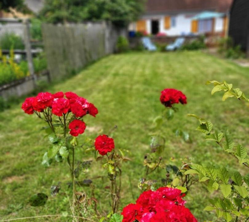 Photo of Others in La Bazoche-Gouet