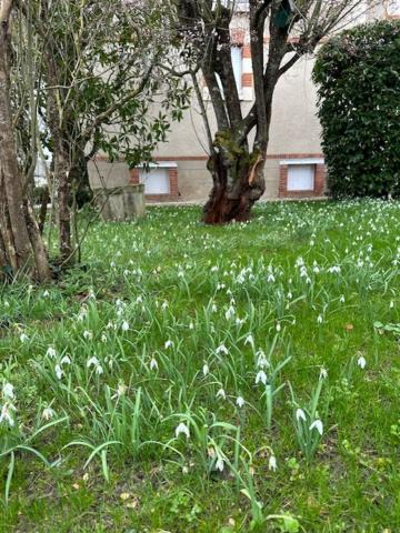 Photo of Others in Aubigny-sur-Nere