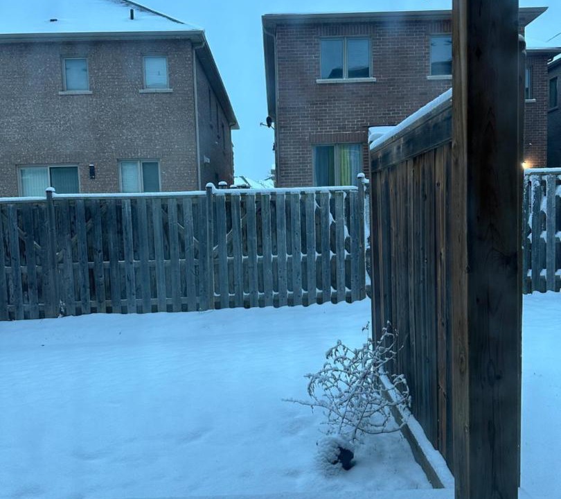 Photo of Others in Brampton