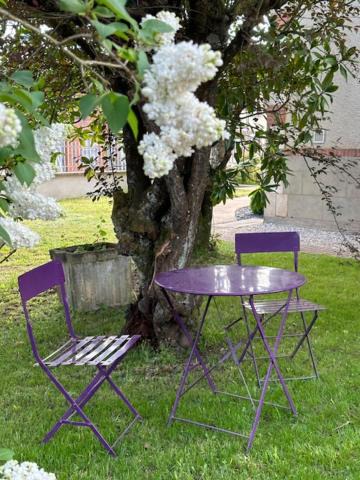 Photo of Others in Aubigny-sur-Nere