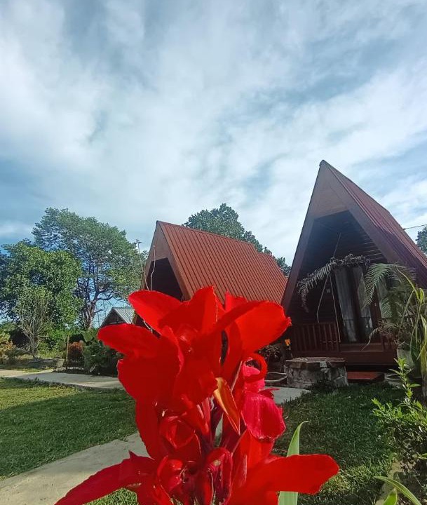 Photo of Others in Lombok