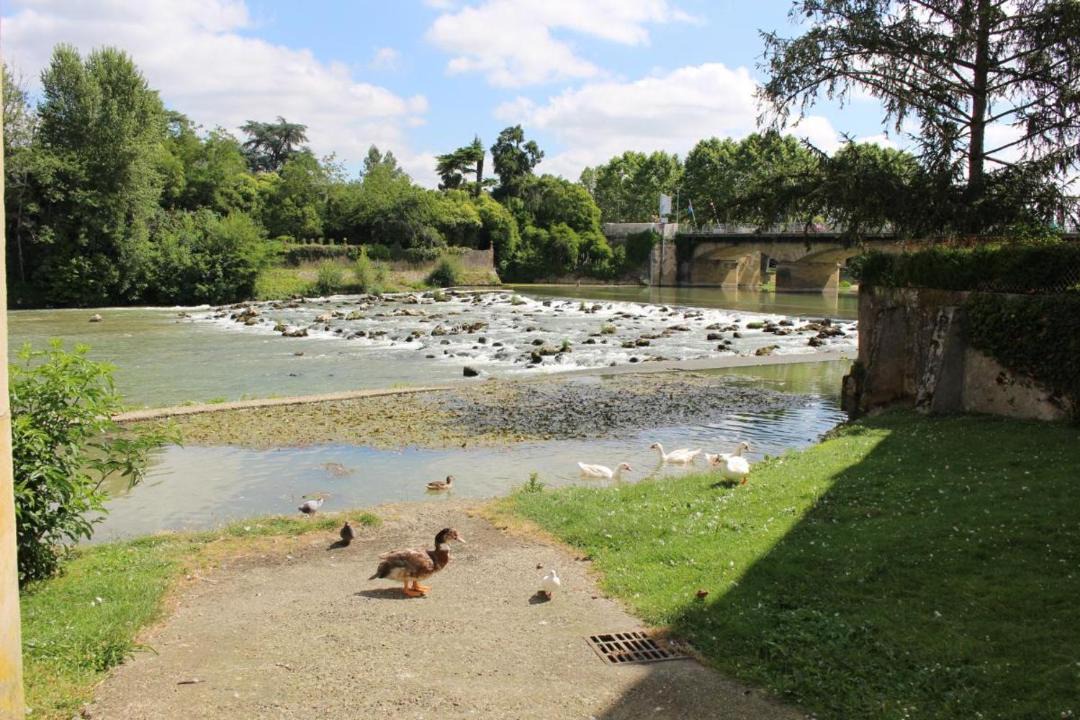 Photo of Others in Aire-sur-l'Adour