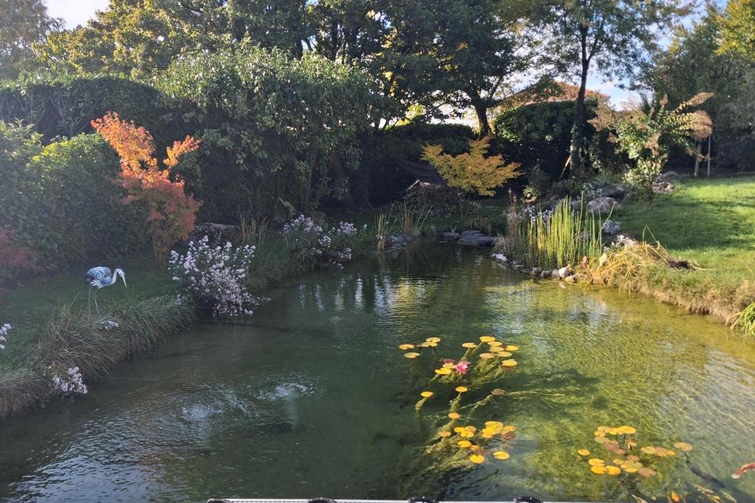 Photo of Others in Lumbin