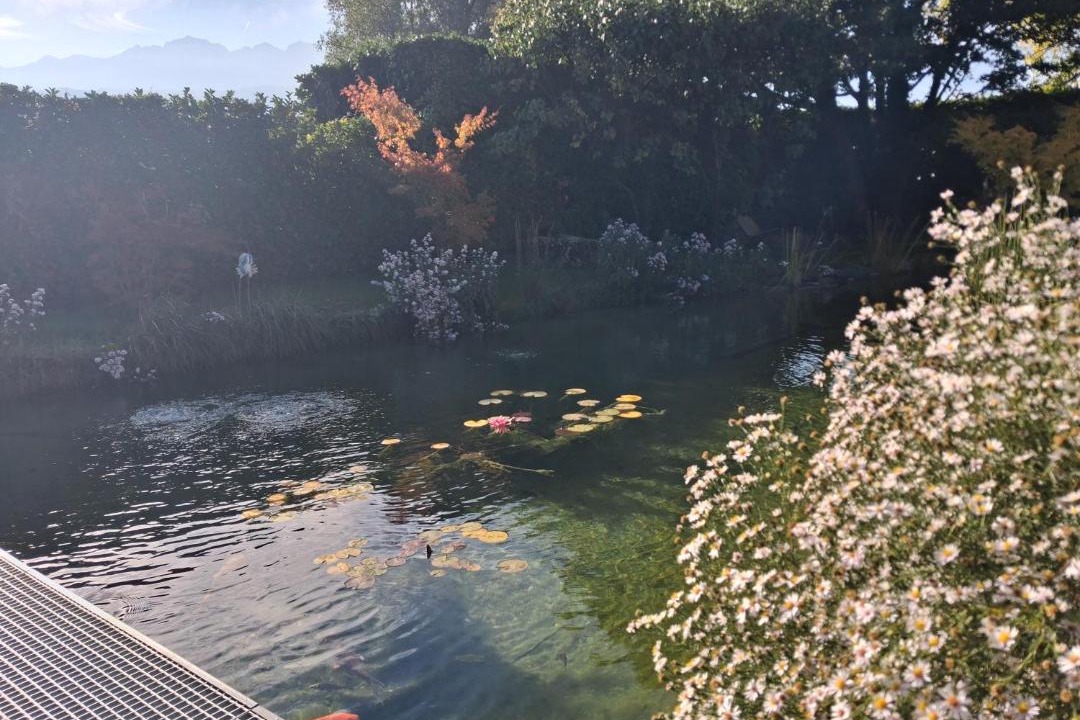 Photo of Others in Lumbin