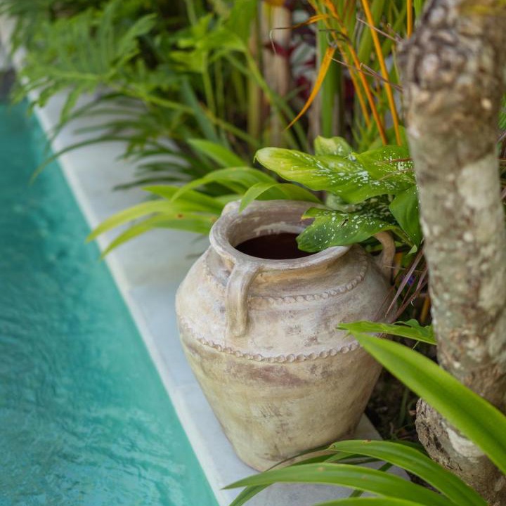 Photo of Others in Jungut Batu