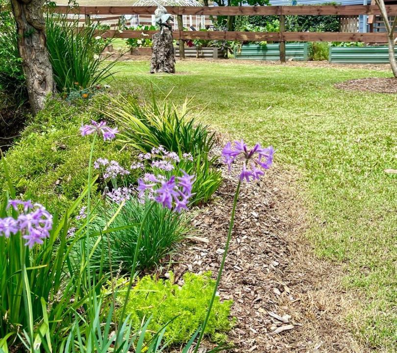 Photo of Outdoor in Canungra