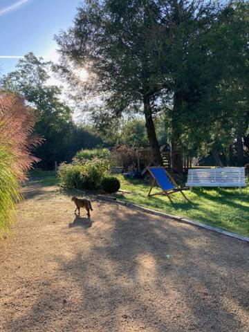 Photo of Others in Tramain