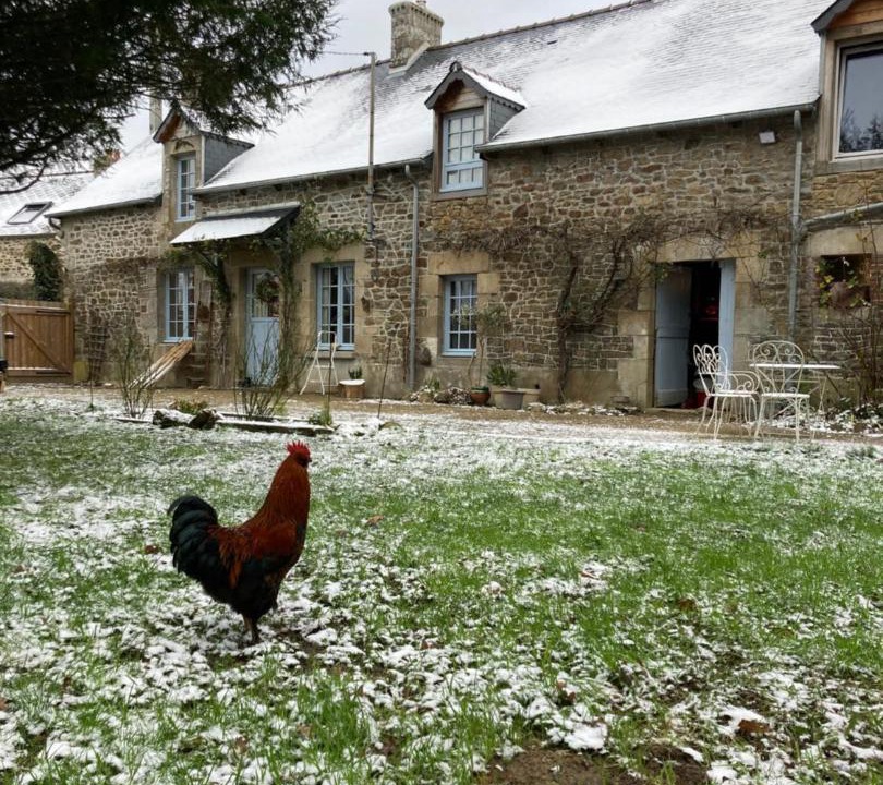 Photo of Others in Tramain