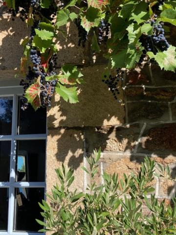 Photo of Others in Tramain