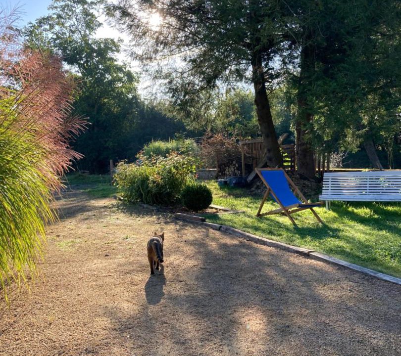 Photo of Outdoor in Tramain