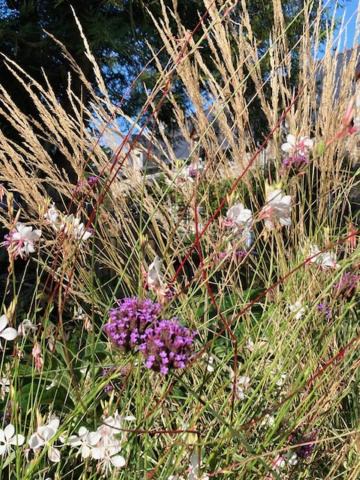 Photo of Outdoor in Tramain