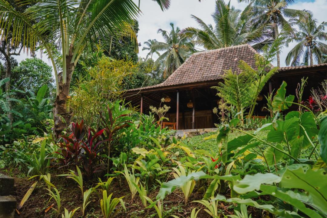 Photo of Others in Payangan