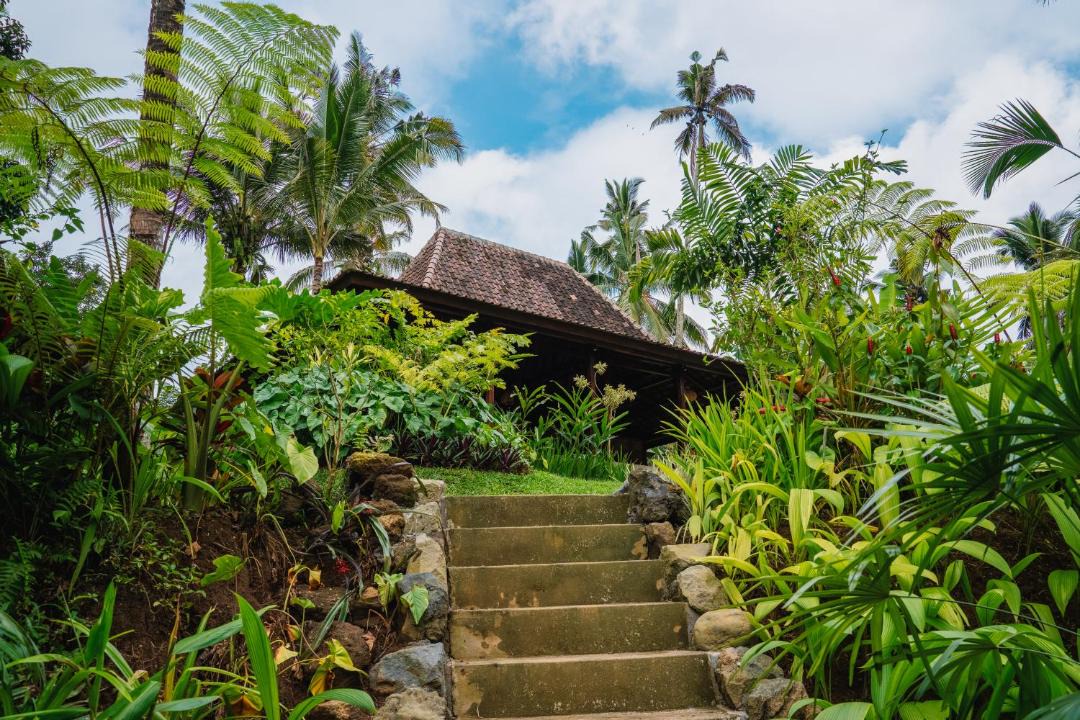 Photo of Others in Payangan