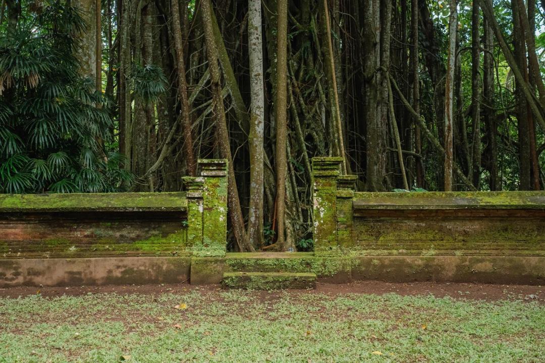 Photo of Others in Payangan