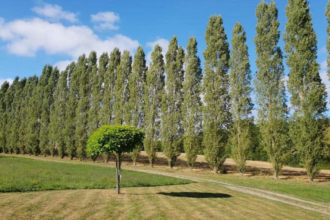 Photo of Others in Parfondeval