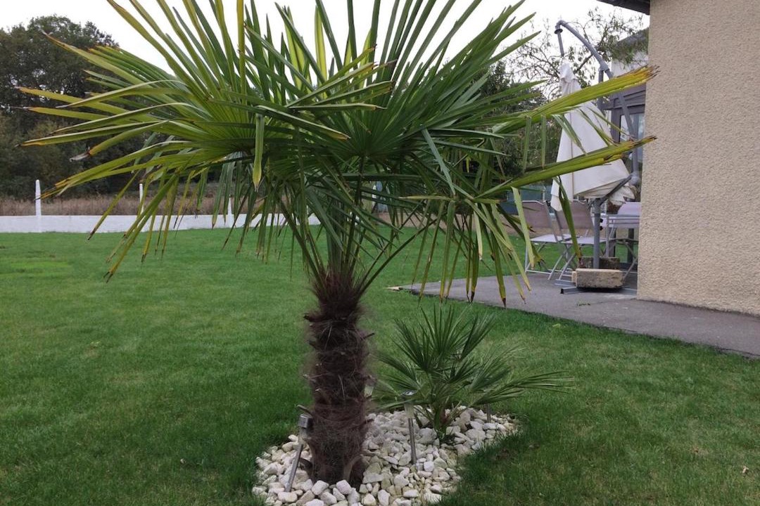 Photo of Outdoor in Le Rheu