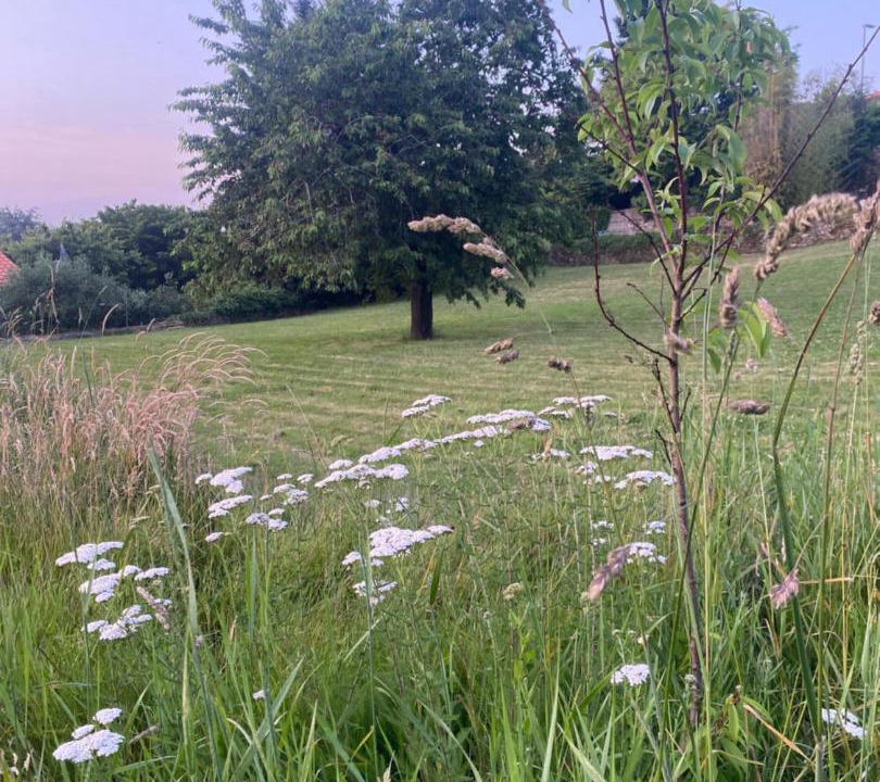 Photo of Outdoor in Parthenay