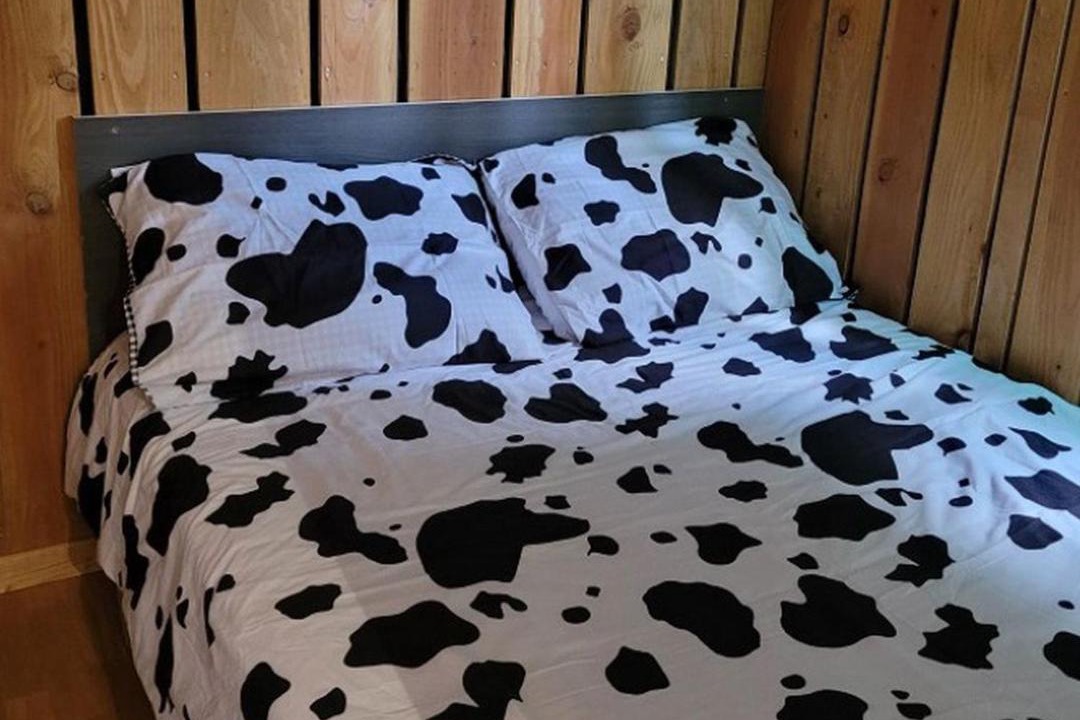 Photo of Bedroom in Pamiers