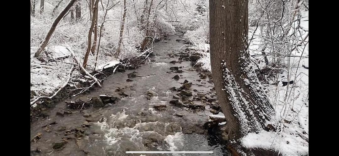 Photo of Others in Hamilton