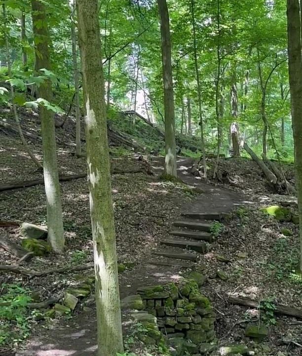 Photo of Others in Hamilton