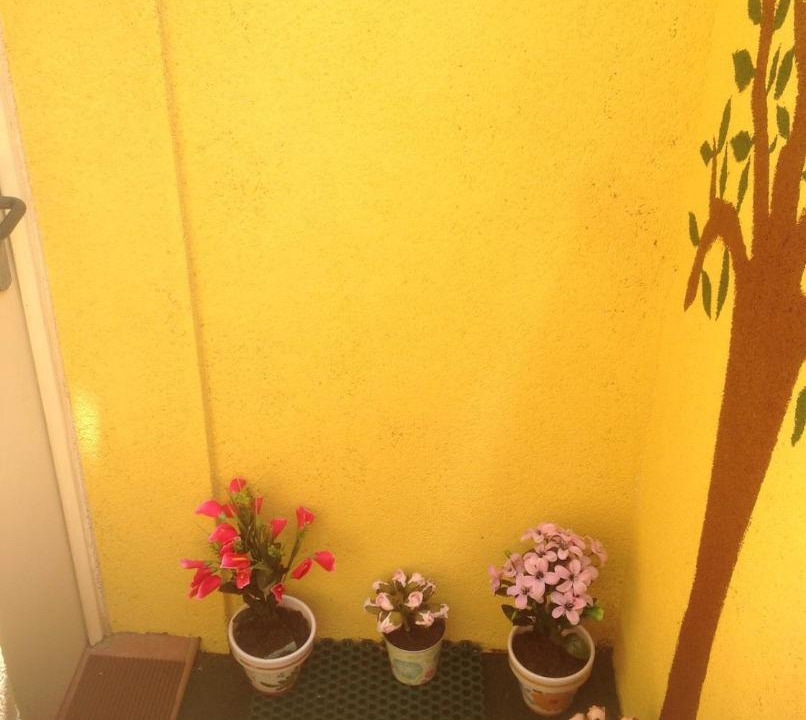 Photo of Others in Suroeste