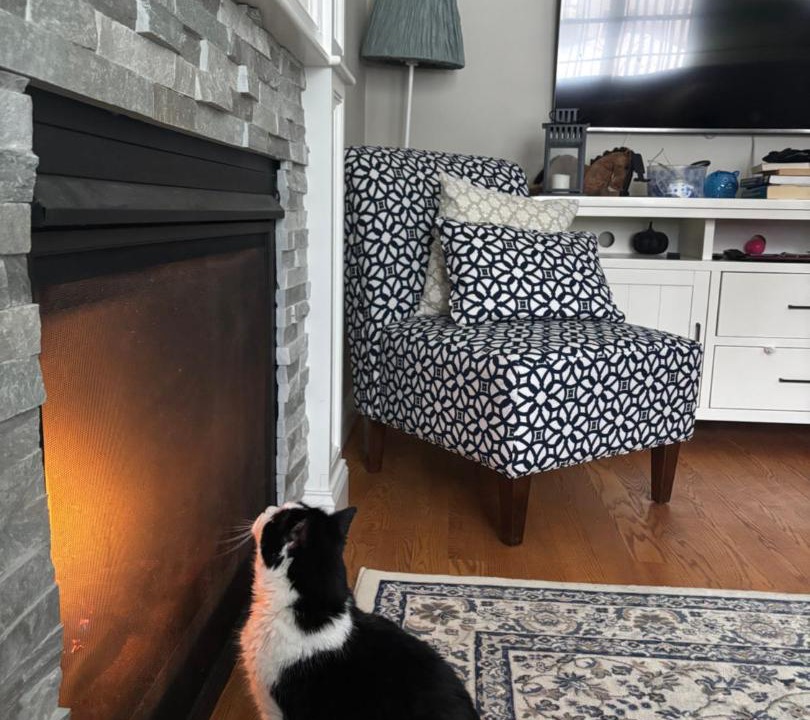 Photo of Livingroom in Holbrook