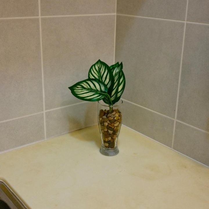 Photo of Bathroom in Bandar Kota Bharu