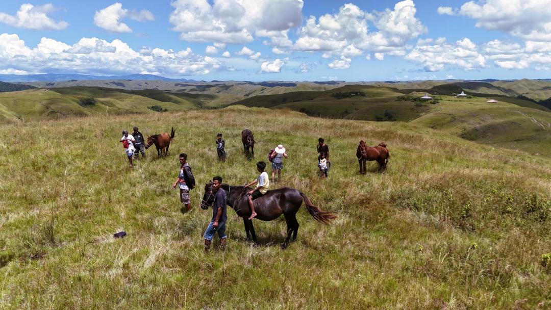 Photo of Others in Sumba