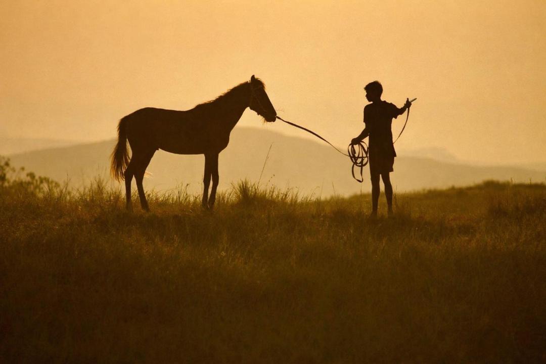 Photo of Others in Sumba