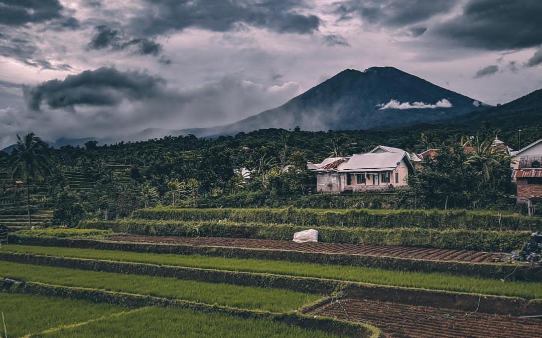 Photo of Others in Lombok