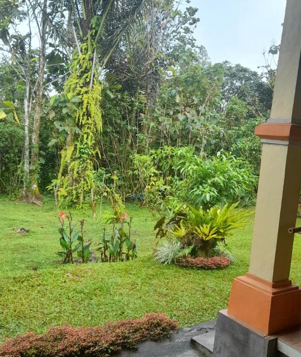 Photo of Others in Wongaya Gede