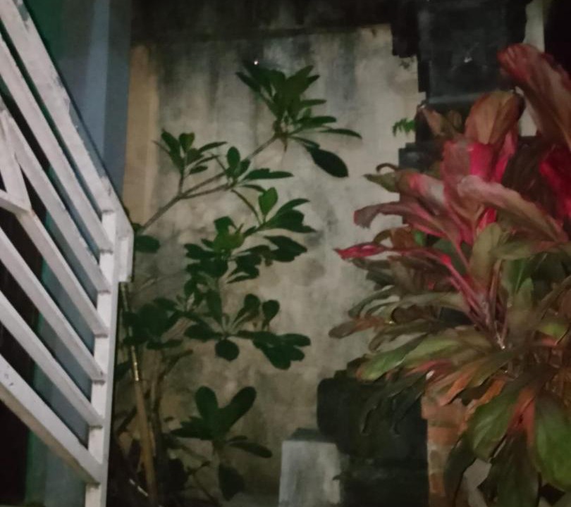 Photo of Others in Mengwi