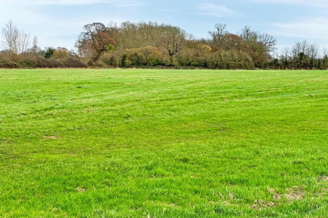 Photo of Others in Rochford