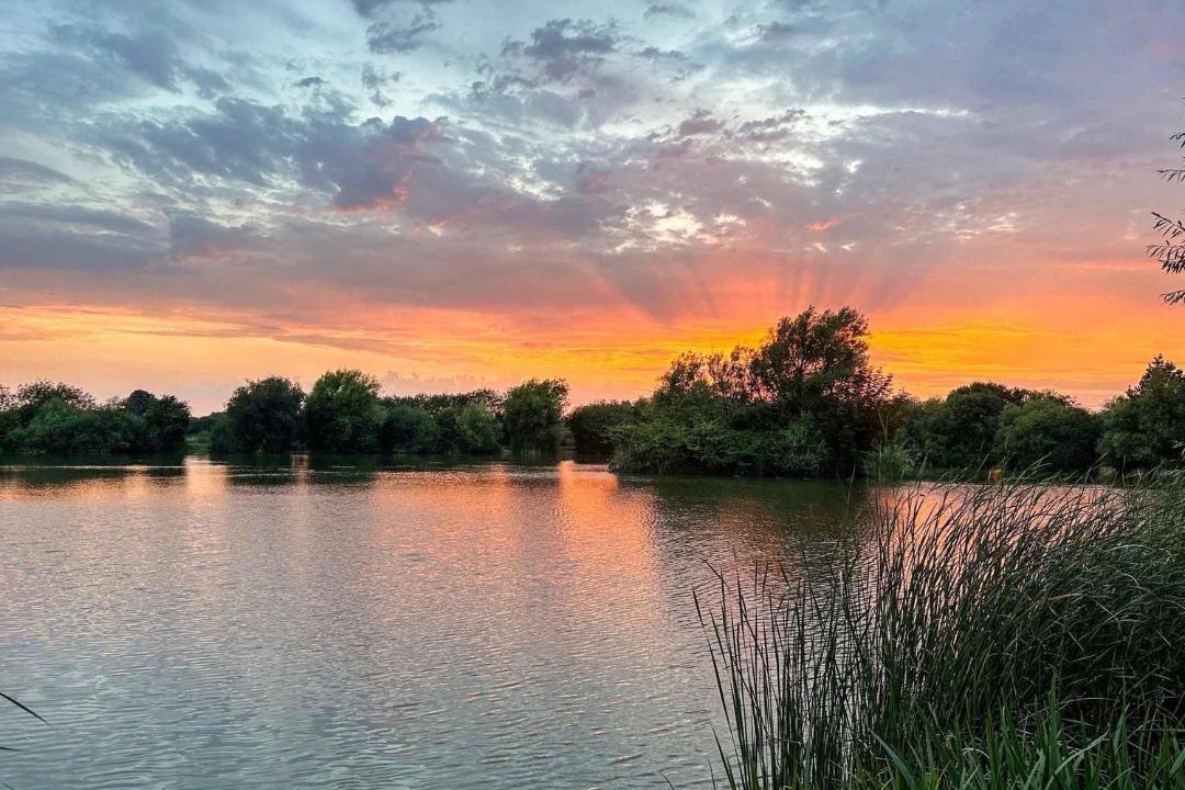 Photo of Others in Rochford