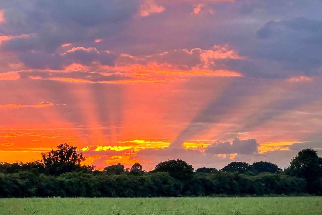 Photo of Others in Rochford