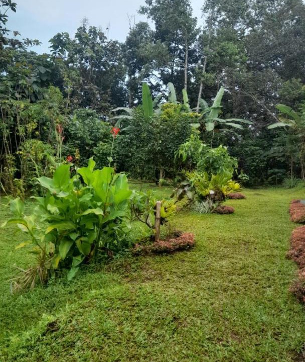 Photo of Others in Wongaya Gede