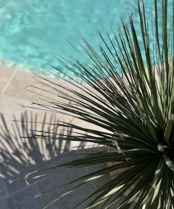 Photo of Others in Saint-Maigrin