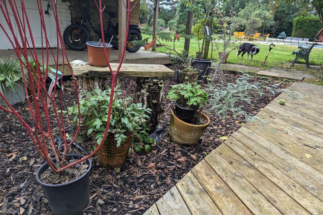 Photo of Others in Hassocks