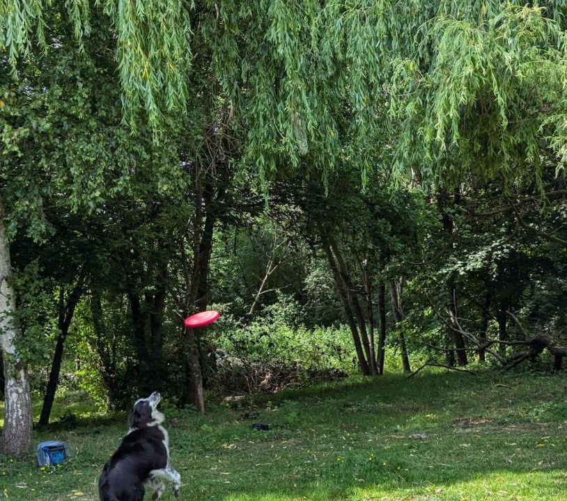 Photo of Others in Hassocks