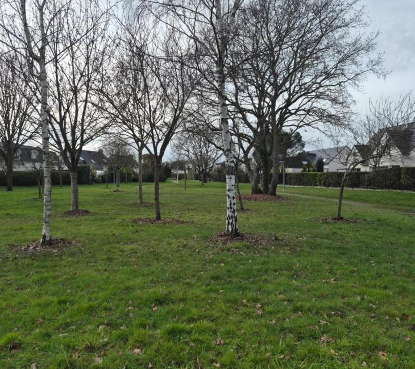 Photo of Others in Cesson-Sevigne