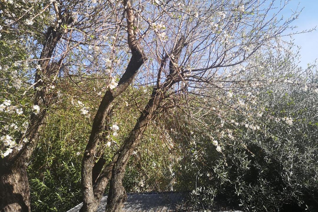 Photo of Outdoor in Lemasson