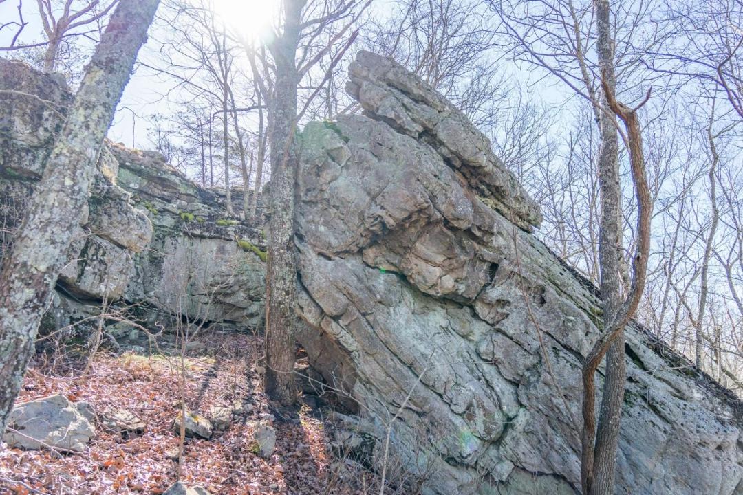 Photo of Others in Trenton