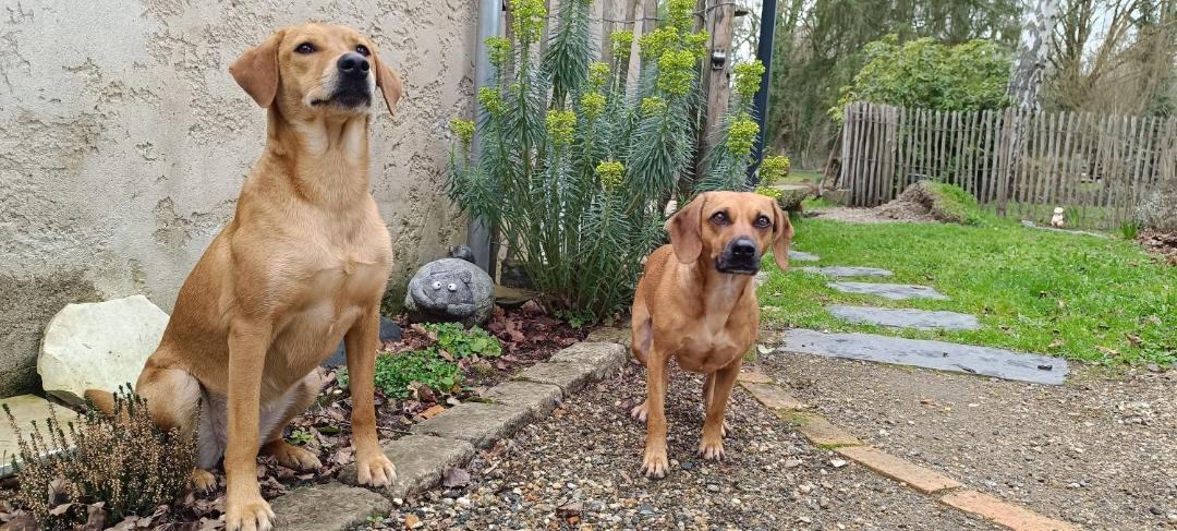 Photo of Others in Cerans-Foulletourte