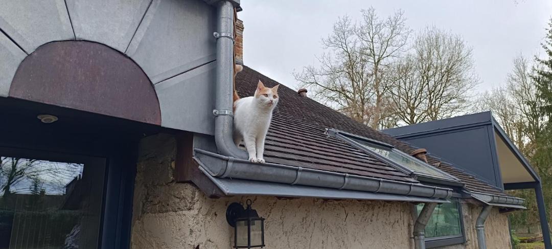 Photo of Others in Cerans-Foulletourte