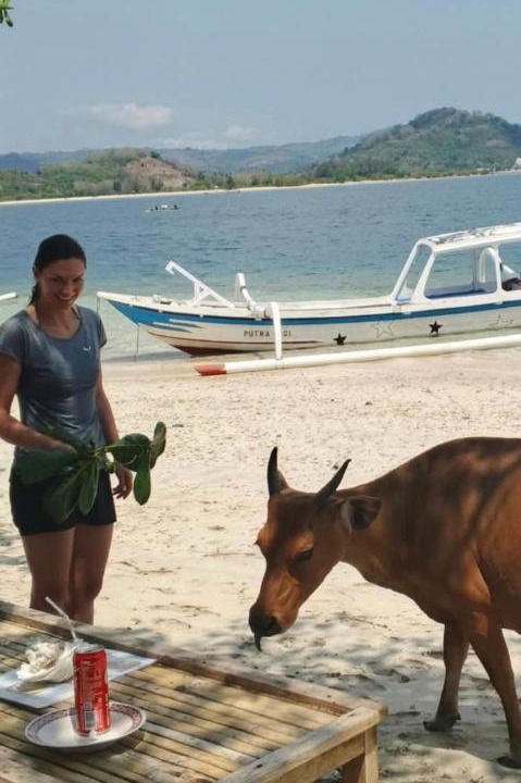 Photo of Others in Gili Gede