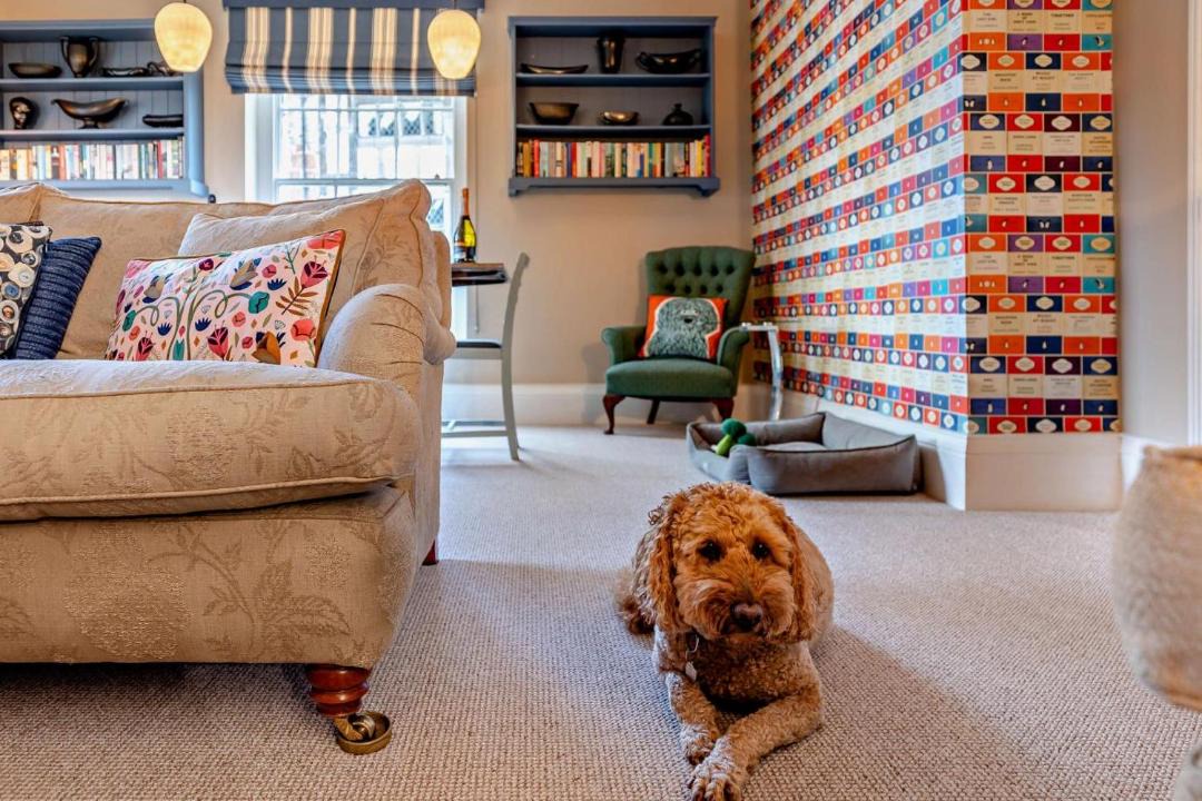 Photo of Others in Ruthin