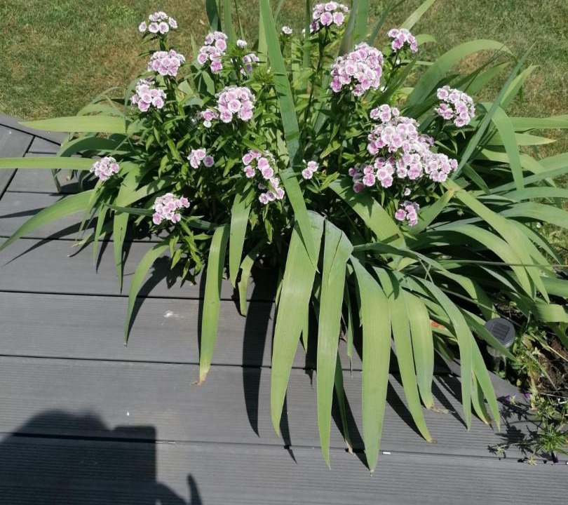 Photo of Others in Nouzilly