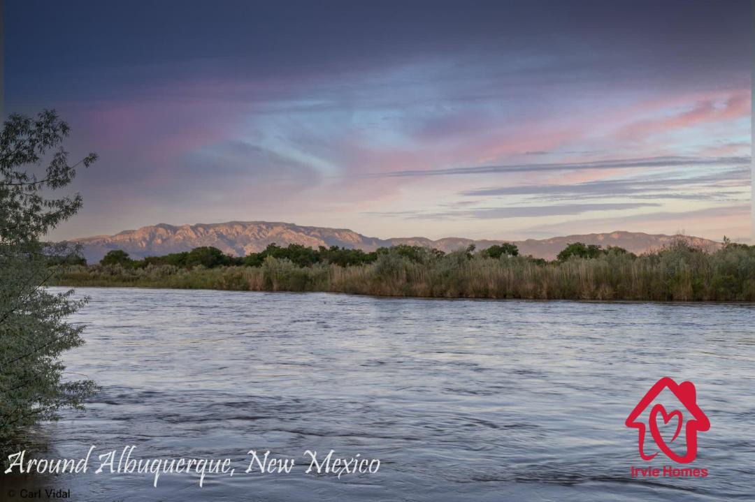 Photo of Others in Albuquerque