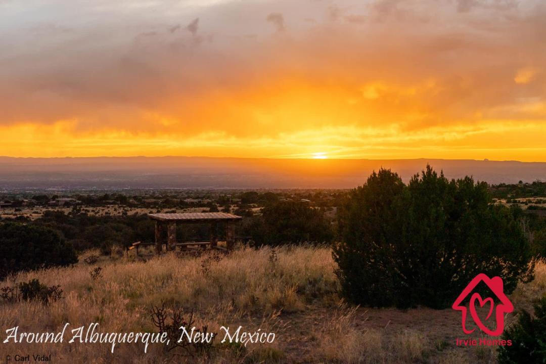 Photo of Others in Albuquerque