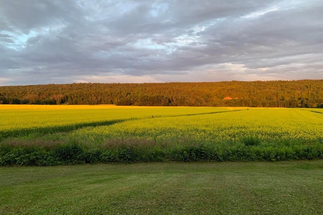 Photo of Others in Riviere-du-Loup Regional County Municipality